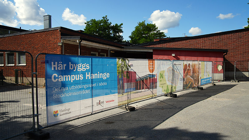 Byggvepa längs ett stängsel