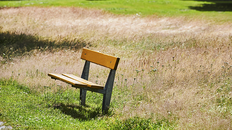 Parkbänk i högt gräs