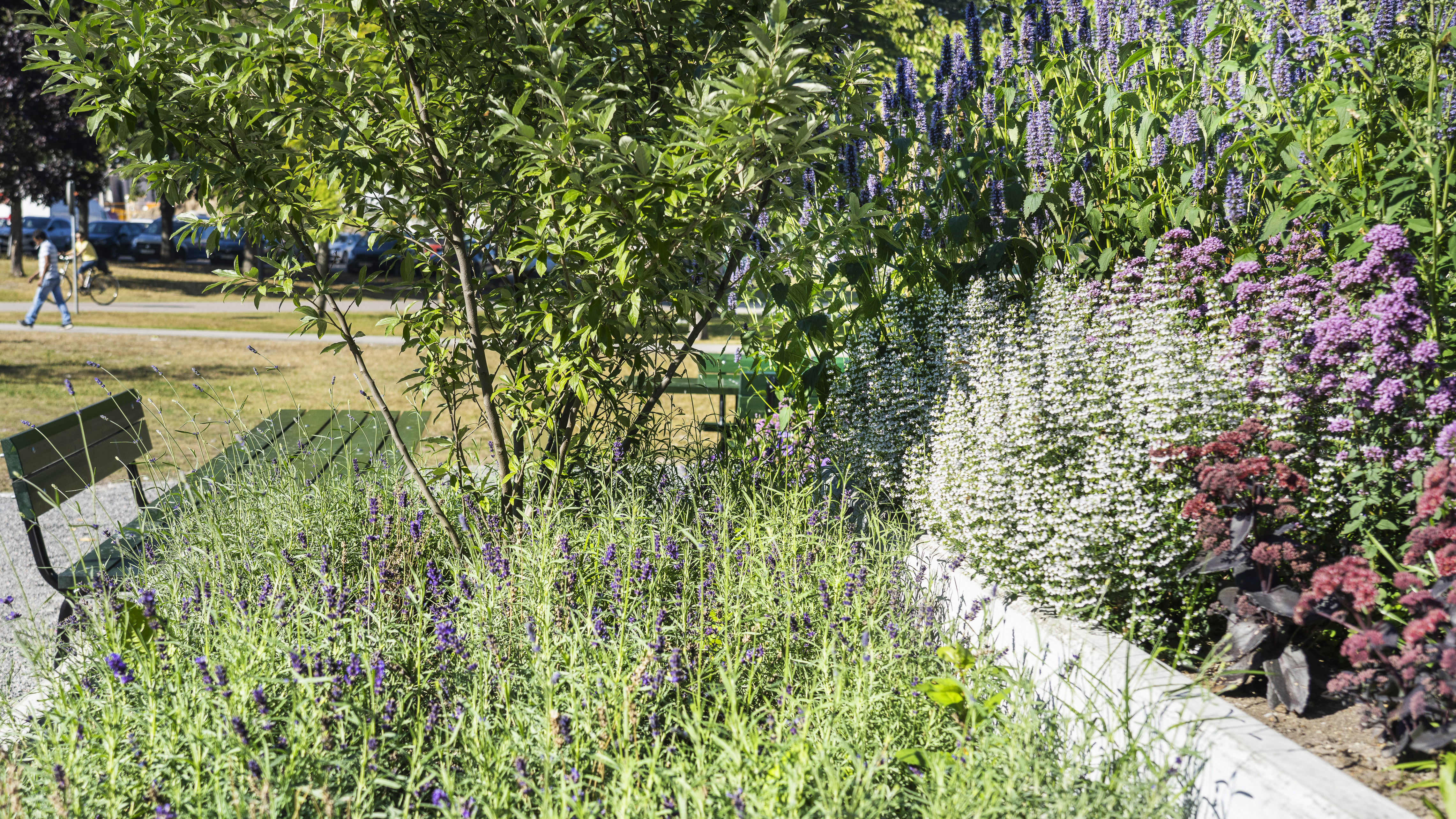 Blomsterrabatt i köksträdgården i Höglundaparken i Jordbro