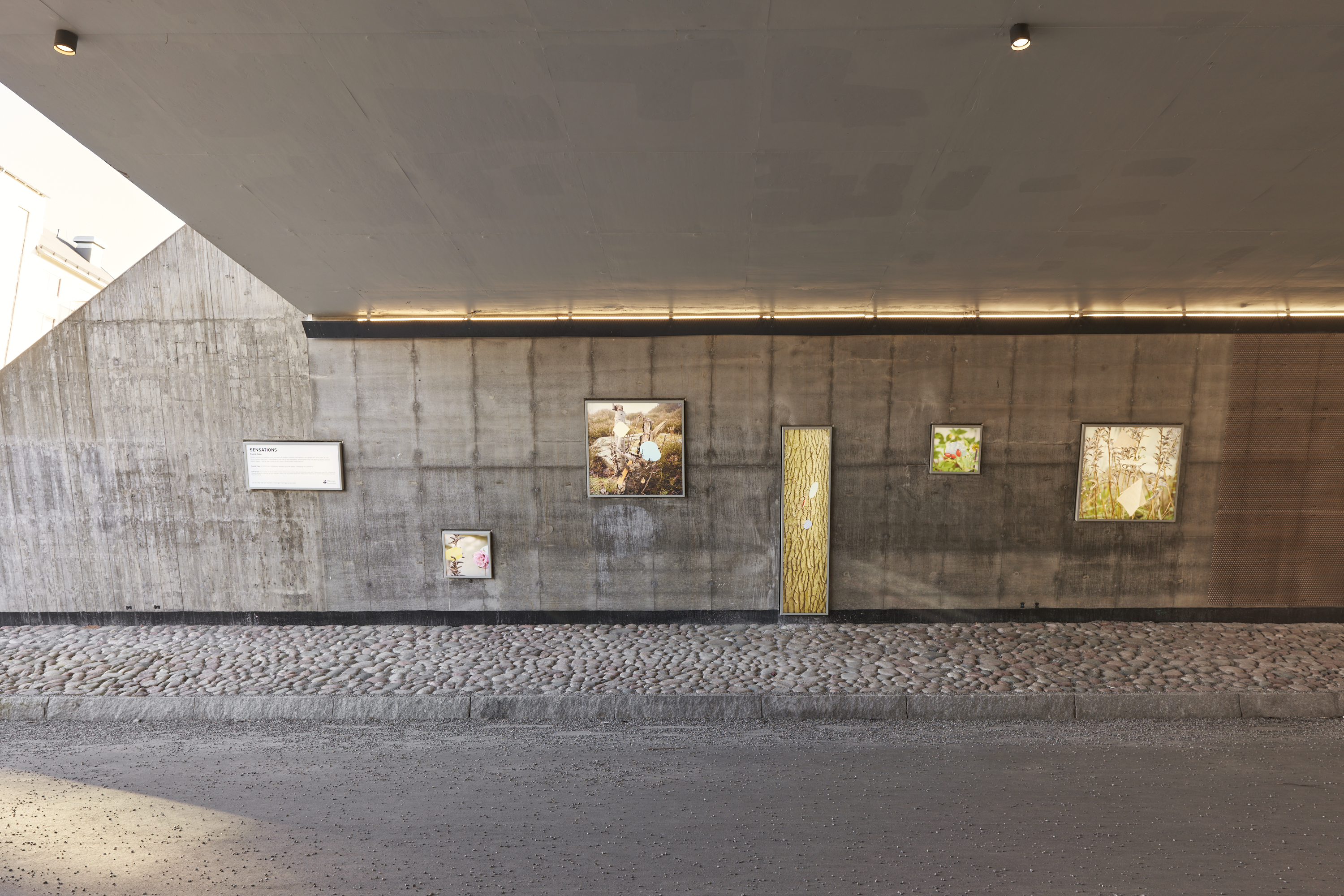 Sensations av Fredrik Fabo